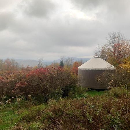 Livingston Manor Yurt Hotel Parksville Екстериор снимка