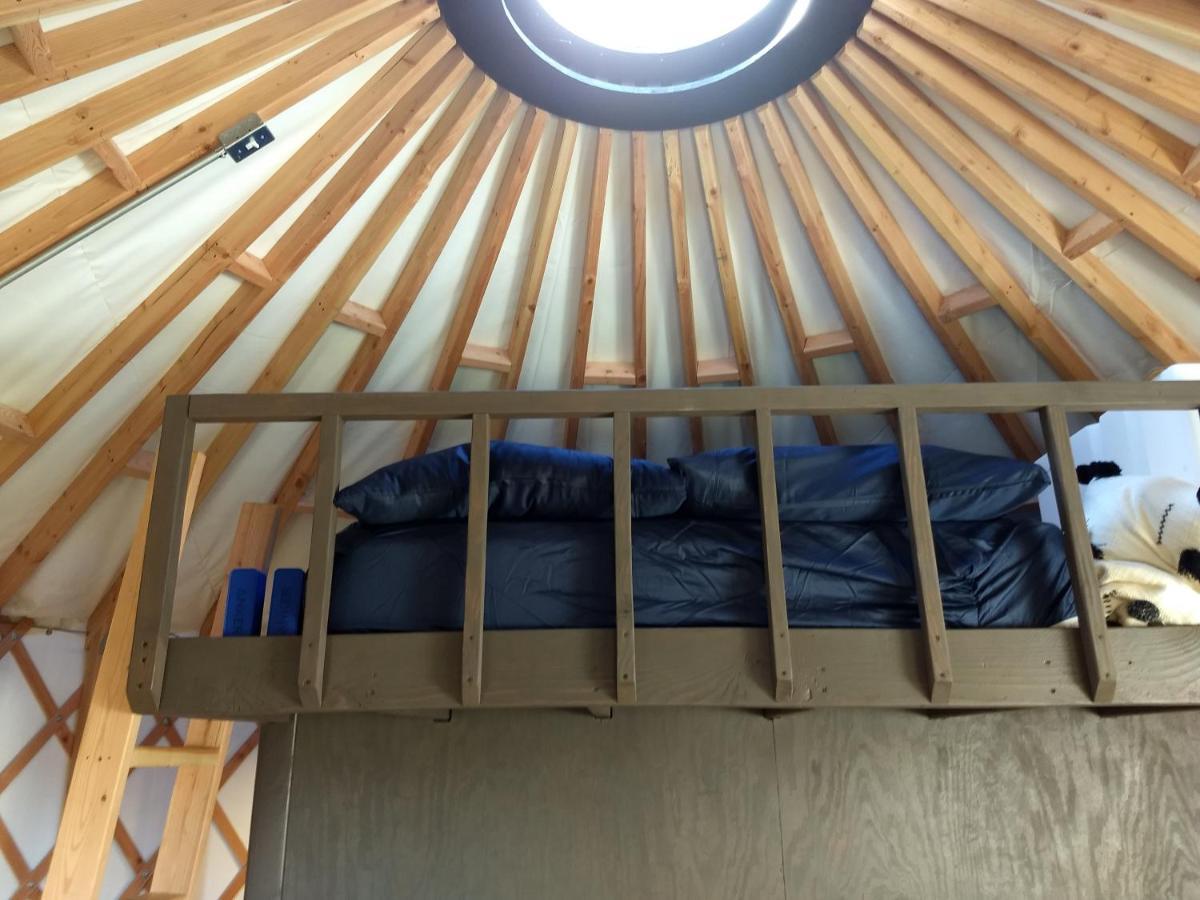 Livingston Manor Yurt Hotel Parksville Екстериор снимка